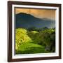 China 10MKm2 Collection - Rice Terraces - Longsheng Ping'an - Guangxi-Philippe Hugonnard-Framed Photographic Print