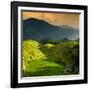 China 10MKm2 Collection - Rice Terraces - Longsheng Ping'an - Guangxi-Philippe Hugonnard-Framed Photographic Print