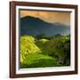 China 10MKm2 Collection - Rice Terraces - Longsheng Ping'an - Guangxi-Philippe Hugonnard-Framed Photographic Print