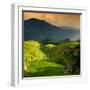 China 10MKm2 Collection - Rice Terraces - Longsheng Ping'an - Guangxi-Philippe Hugonnard-Framed Premium Photographic Print