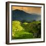 China 10MKm2 Collection - Rice Terraces - Longsheng Ping'an - Guangxi-Philippe Hugonnard-Framed Photographic Print