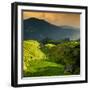 China 10MKm2 Collection - Rice Terraces - Longsheng Ping'an - Guangxi-Philippe Hugonnard-Framed Photographic Print