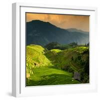 China 10MKm2 Collection - Rice Terraces - Longsheng Ping'an - Guangxi-Philippe Hugonnard-Framed Photographic Print