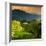 China 10MKm2 Collection - Rice Terraces - Longsheng Ping'an - Guangxi-Philippe Hugonnard-Framed Photographic Print