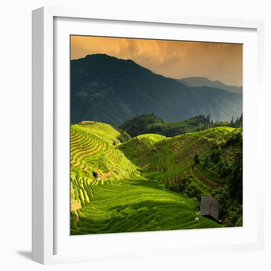 China 10MKm2 Collection - Rice Terraces - Longsheng Ping'an - Guangxi-Philippe Hugonnard-Framed Photographic Print