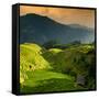 China 10MKm2 Collection - Rice Terraces - Longsheng Ping'an - Guangxi-Philippe Hugonnard-Framed Stretched Canvas