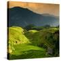 China 10MKm2 Collection - Rice Terraces - Longsheng Ping'an - Guangxi-Philippe Hugonnard-Stretched Canvas