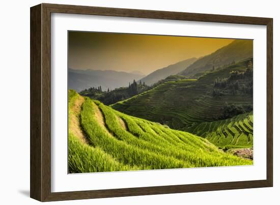 China 10MKm2 Collection - Rice Terraces - Longsheng Ping'an - Guangxi-Philippe Hugonnard-Framed Photographic Print