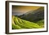 China 10MKm2 Collection - Rice Terraces - Longsheng Ping'an - Guangxi-Philippe Hugonnard-Framed Photographic Print