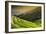 China 10MKm2 Collection - Rice Terraces - Longsheng Ping'an - Guangxi-Philippe Hugonnard-Framed Photographic Print