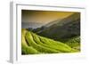 China 10MKm2 Collection - Rice Terraces - Longsheng Ping'an - Guangxi-Philippe Hugonnard-Framed Photographic Print