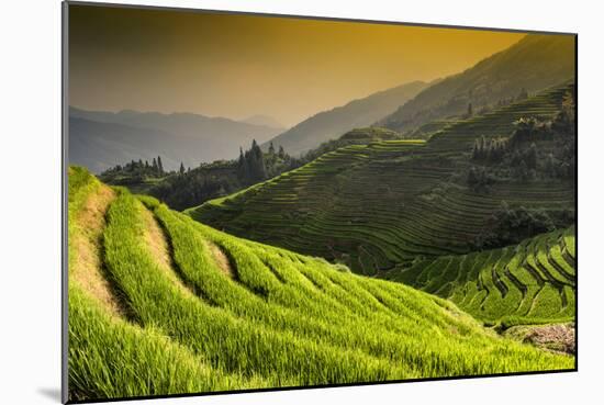 China 10MKm2 Collection - Rice Terraces - Longsheng Ping'an - Guangxi-Philippe Hugonnard-Mounted Photographic Print