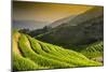 China 10MKm2 Collection - Rice Terraces - Longsheng Ping'an - Guangxi-Philippe Hugonnard-Mounted Photographic Print