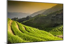 China 10MKm2 Collection - Rice Terraces - Longsheng Ping'an - Guangxi-Philippe Hugonnard-Mounted Photographic Print