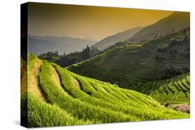 China 10MKm2 Collection - Rice Terraces - Longsheng Ping'an - Guangxi-Philippe Hugonnard-Stretched Canvas