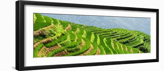 China 10MKm2 Collection - Rice Terraces - Longsheng Ping'an - Guangxi-Philippe Hugonnard-Framed Photographic Print