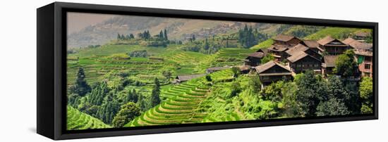 China 10MKm2 Collection - Rice Terraces - Longsheng Ping'an - Guangxi-Philippe Hugonnard-Framed Stretched Canvas