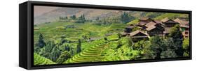 China 10MKm2 Collection - Rice Terraces - Longsheng Ping'an - Guangxi-Philippe Hugonnard-Framed Stretched Canvas