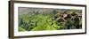 China 10MKm2 Collection - Rice Terraces - Longsheng Ping'an - Guangxi-Philippe Hugonnard-Framed Photographic Print