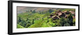 China 10MKm2 Collection - Rice Terraces - Longsheng Ping'an - Guangxi-Philippe Hugonnard-Framed Photographic Print