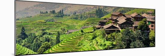 China 10MKm2 Collection - Rice Terraces - Longsheng Ping'an - Guangxi-Philippe Hugonnard-Mounted Photographic Print