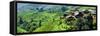 China 10MKm2 Collection - Rice Terraces - Longsheng Ping'an - Guangxi-Philippe Hugonnard-Framed Stretched Canvas