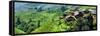 China 10MKm2 Collection - Rice Terraces - Longsheng Ping'an - Guangxi-Philippe Hugonnard-Framed Stretched Canvas