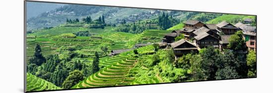 China 10MKm2 Collection - Rice Terraces - Longsheng Ping'an - Guangxi-Philippe Hugonnard-Mounted Photographic Print