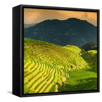 China 10MKm2 Collection - Rice Terraces - Longsheng Ping'an - Guangxi-Philippe Hugonnard-Framed Stretched Canvas