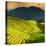 China 10MKm2 Collection - Rice Terraces - Longsheng Ping'an - Guangxi-Philippe Hugonnard-Stretched Canvas