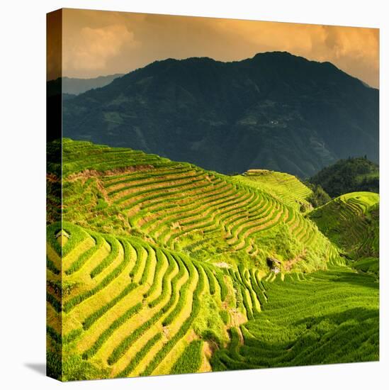 China 10MKm2 Collection - Rice Terraces - Longsheng Ping'an - Guangxi-Philippe Hugonnard-Stretched Canvas