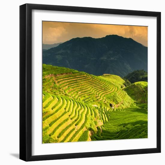 China 10MKm2 Collection - Rice Terraces - Longsheng Ping'an - Guangxi-Philippe Hugonnard-Framed Photographic Print