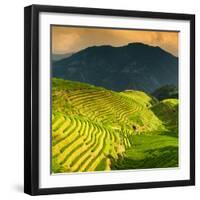 China 10MKm2 Collection - Rice Terraces - Longsheng Ping'an - Guangxi-Philippe Hugonnard-Framed Photographic Print