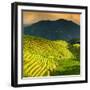 China 10MKm2 Collection - Rice Terraces - Longsheng Ping'an - Guangxi-Philippe Hugonnard-Framed Photographic Print