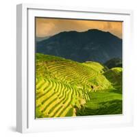 China 10MKm2 Collection - Rice Terraces - Longsheng Ping'an - Guangxi-Philippe Hugonnard-Framed Photographic Print