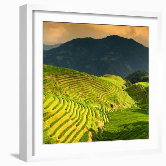 China 10MKm2 Collection - Rice Terraces - Longsheng Ping'an - Guangxi-Philippe Hugonnard-Framed Photographic Print