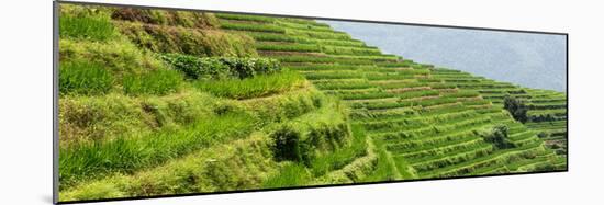 China 10MKm2 Collection - Rice Terraces - Longsheng Ping'an - Guangxi-Philippe Hugonnard-Mounted Photographic Print