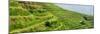 China 10MKm2 Collection - Rice Terraces - Longsheng Ping'an - Guangxi-Philippe Hugonnard-Mounted Photographic Print