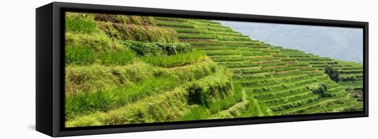 China 10MKm2 Collection - Rice Terraces - Longsheng Ping'an - Guangxi-Philippe Hugonnard-Framed Stretched Canvas