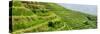 China 10MKm2 Collection - Rice Terraces - Longsheng Ping'an - Guangxi-Philippe Hugonnard-Stretched Canvas