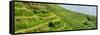 China 10MKm2 Collection - Rice Terraces - Longsheng Ping'an - Guangxi-Philippe Hugonnard-Framed Stretched Canvas