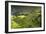 China 10MKm2 Collection - Rice Terraces - Longsheng Ping'an - Guangxi-Philippe Hugonnard-Framed Photographic Print