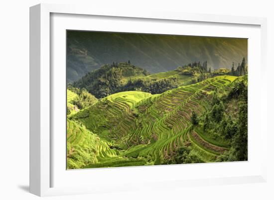 China 10MKm2 Collection - Rice Terraces - Longsheng Ping'an - Guangxi-Philippe Hugonnard-Framed Photographic Print