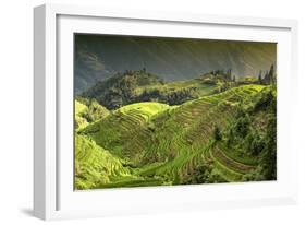 China 10MKm2 Collection - Rice Terraces - Longsheng Ping'an - Guangxi-Philippe Hugonnard-Framed Photographic Print