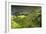 China 10MKm2 Collection - Rice Terraces - Longsheng Ping'an - Guangxi-Philippe Hugonnard-Framed Photographic Print