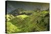 China 10MKm2 Collection - Rice Terraces - Longsheng Ping'an - Guangxi-Philippe Hugonnard-Stretched Canvas