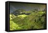 China 10MKm2 Collection - Rice Terraces - Longsheng Ping'an - Guangxi-Philippe Hugonnard-Framed Stretched Canvas