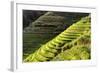 China 10MKm2 Collection - Rice Terraces - Longsheng Ping'an - Guangxi-Philippe Hugonnard-Framed Photographic Print