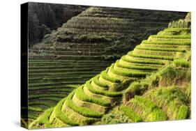 China 10MKm2 Collection - Rice Terraces - Longsheng Ping'an - Guangxi-Philippe Hugonnard-Stretched Canvas