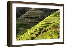 China 10MKm2 Collection - Rice Terraces - Longsheng Ping'an - Guangxi-Philippe Hugonnard-Framed Photographic Print